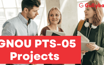 How to make IGNOU PTS-5 Project | BTS (Bachelor of Tourism) — The Key Points