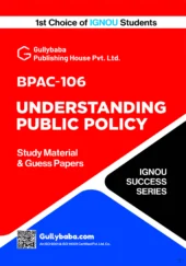 Understanding Public Policy