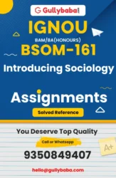 BSOM-161: Introducing Sociology