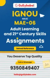 MAE-06: Adult learning and 21st century skills