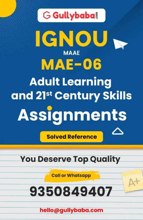 MAE-06: Adult learning and 21st century skills
